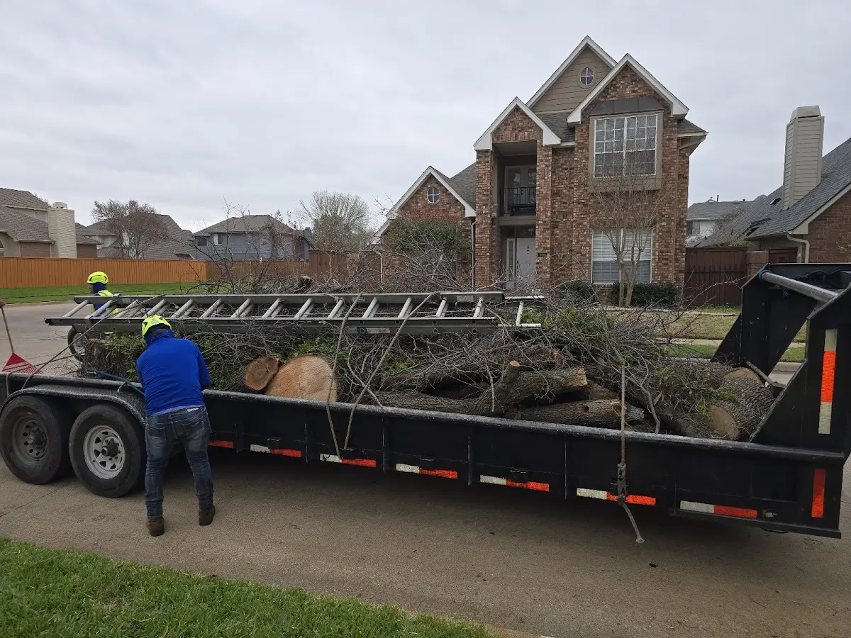 Expert Lot Clearing with proper safety equipment in Forgan